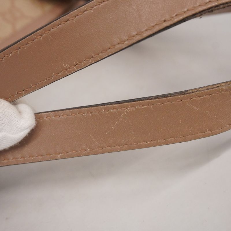 Gucci Tote Bag GG Supreme 211137 PVC Pink Beige Chien Pan Gold Hardware Women's