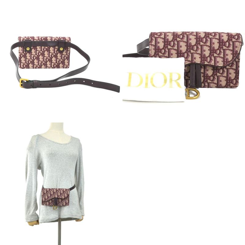 Christian DIOR Belt Bag Waist Bag Trotter