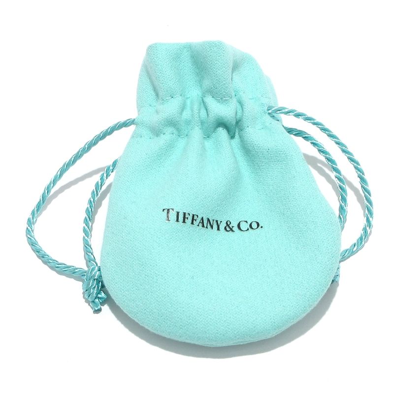 Tiffany & Co Earrings Hardware Large Link Earrings In Silver