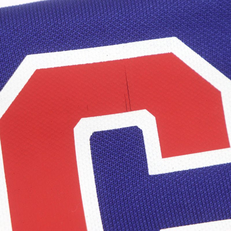 Gucci 22SS 683516 Tiger Back Embroidery Zip Up Hoodie Track Jacket Blue Beige