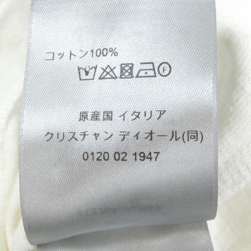 DIOR Homme 24SS 413j640a0849 Damaged Slub Cotton Jersey Short Sleeve T-shirt