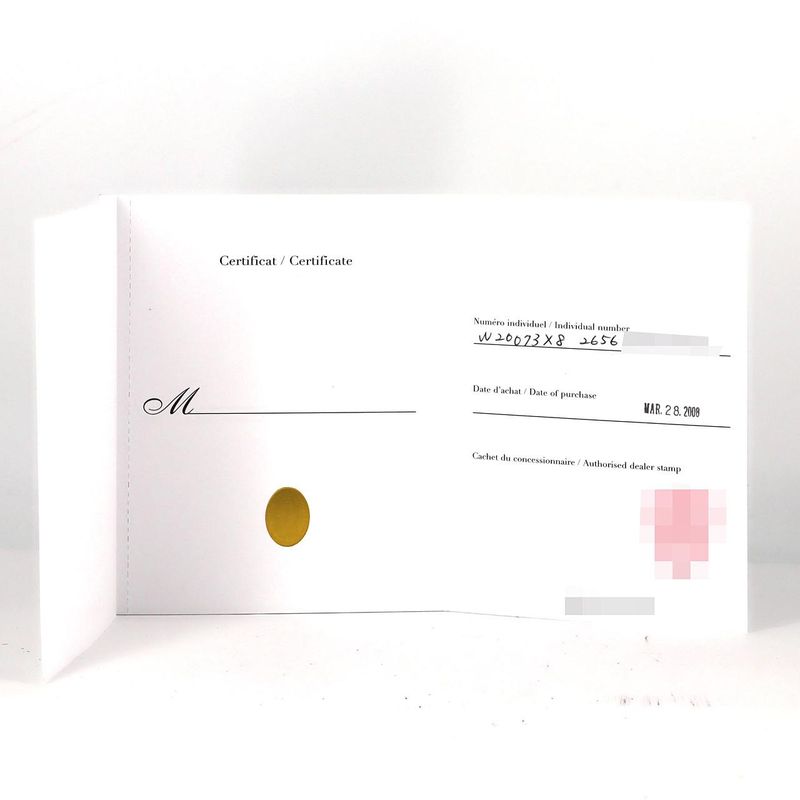 Cartier Santos 100 LM W20073x8 SS Automatic