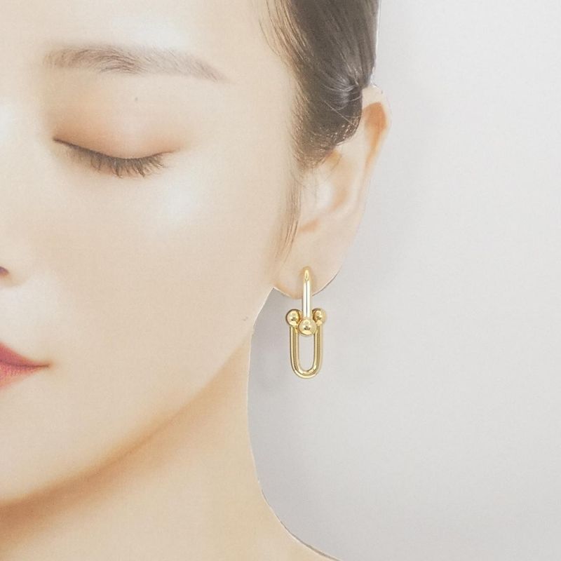 Tiffany & Co Hardware Link Large Earrings