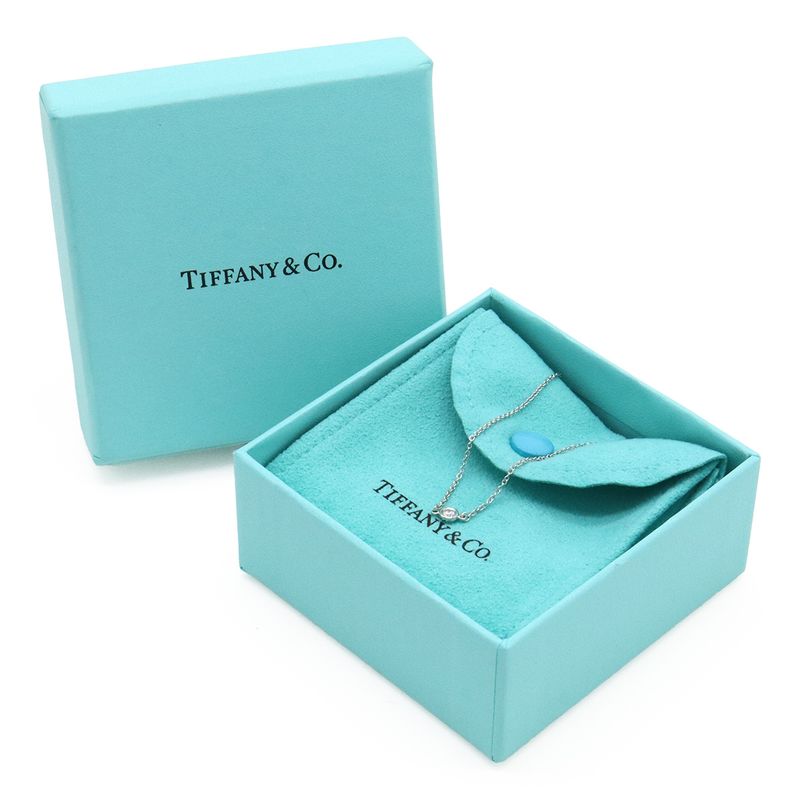 Tiffany & Co Tiffany & Co Elsa Peretti By-the-yard Bracelet Pt950 Platinum