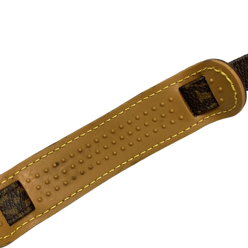 Louis Vuitton Monogram Amazon M45236 - Shoulder Bag