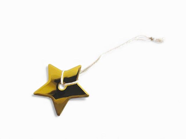 Dior Star Charm Back Charm Ornament Gold Type