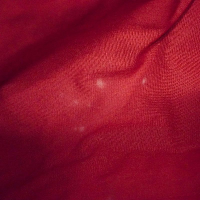 Hermes Shoulder Bag Amedava Cabas Deux Poches Canvas Red Silver Hardware Women