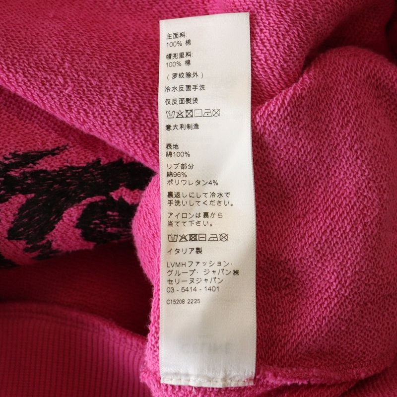 Celine Palm Tree Studded Hoodie Pullover Hoodie Pink 2y795670q