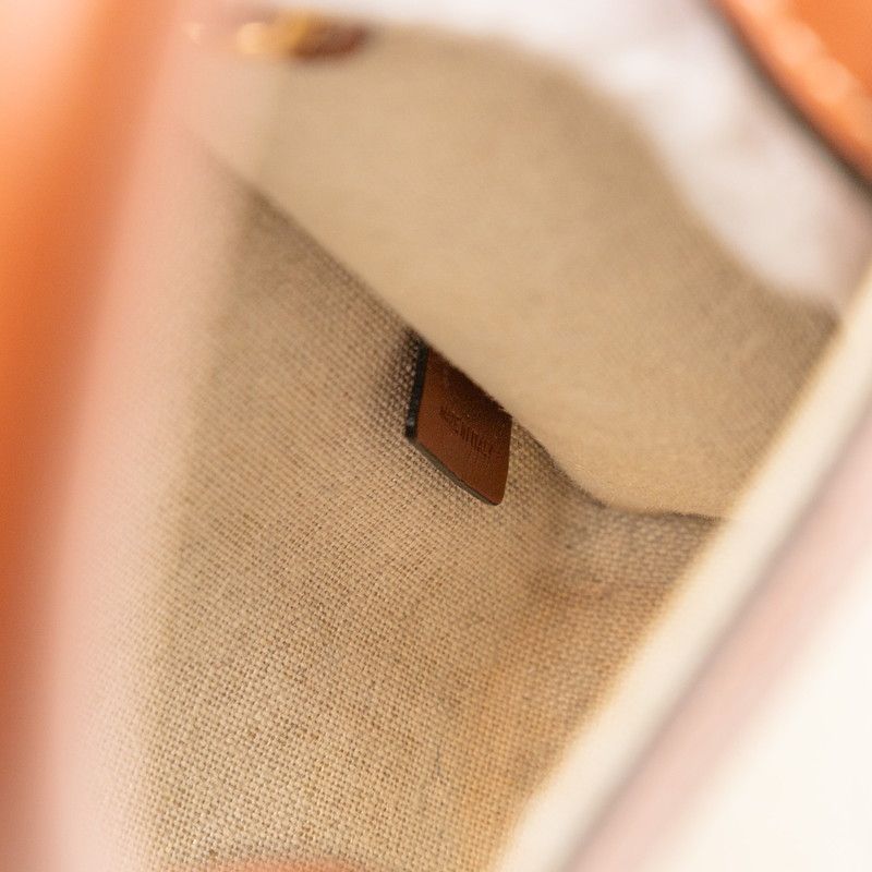 Celine Saint Tropez Mini Vertical Handbag Shoulder Bag 2way Ivory Brown Canvas