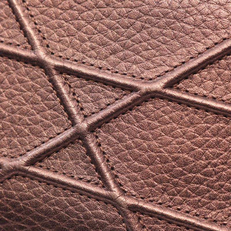 Christian Dior Shoulder Bag Dior Ama Brown Leather Dior Ama Chain Wallet Women