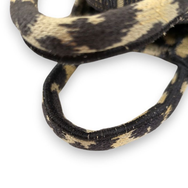 Christian Dior Book Tote Mini Phone Bag Shoulder Bag Leopard Pattern Beige