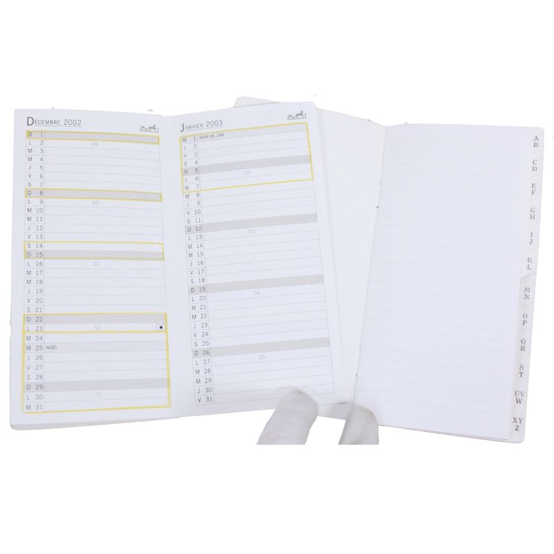 Hermes Agenda GM Leather Yellow and Green Wallets and Accessories Silver