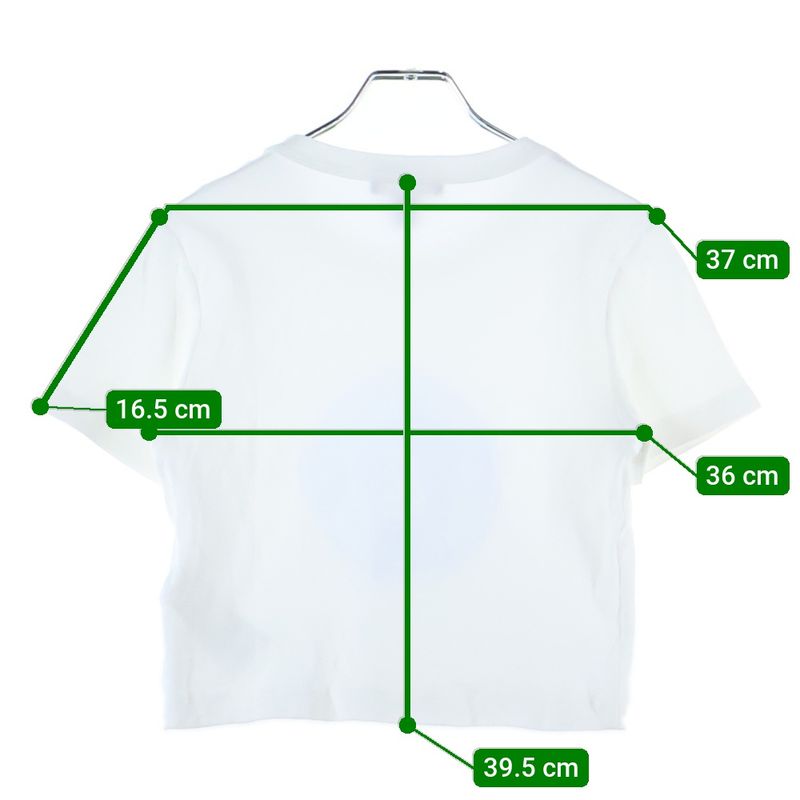 Louis Vuitton 25aw LV Logo Print Crew Neck Cropped Short Length Short Sleeve