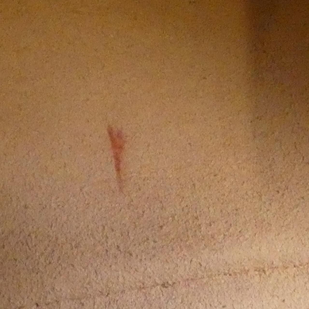 Gucci GG Marmont 447632 Dtd1y Shoulder Bag