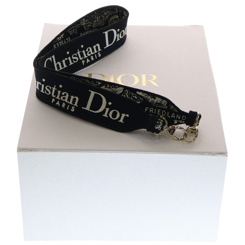 Christian Dior Lady D-Lite Plan de Paris Lady D-Lite Medium Handbag with Charm