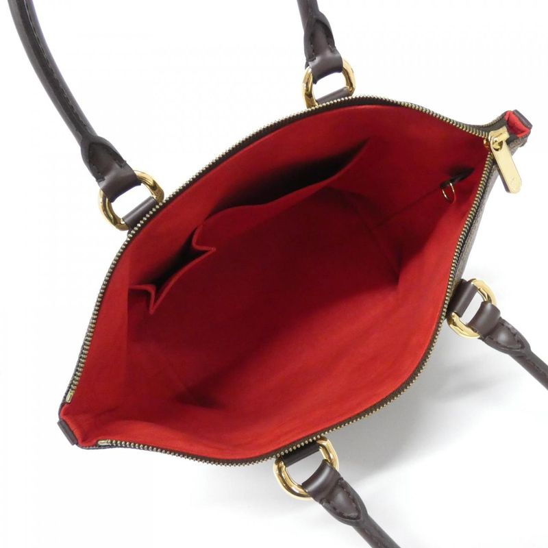 Louis Vuitton Damier Saleya PM N51183 Bag