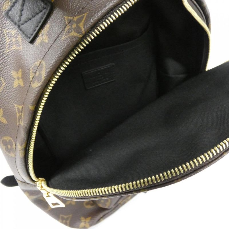 Louis Vuitton Monogram Palm Springs Backpack PM Rucksack Sac