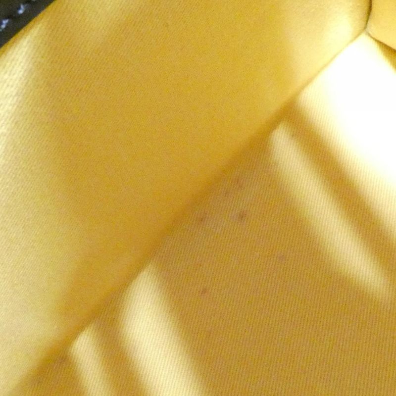 Goyard Saigon PM Bag