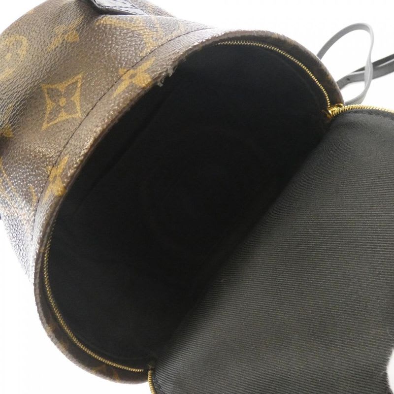 Louis Vuitton Monogram Palm Springs Backpack Mini Rucksack Sac