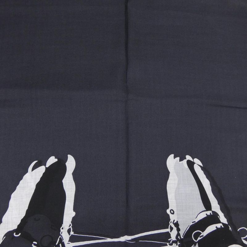 Hermes Rodeo Noir Stole