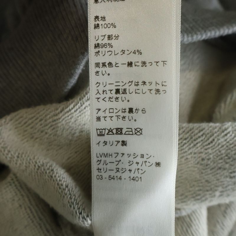 Celine Loose Sweatshirt in Cotton Fleece Drawstring Hoodie Pullover
