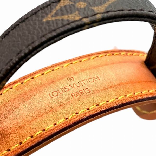 Louis Vuitton Monogram Amazon Shoulder Bag