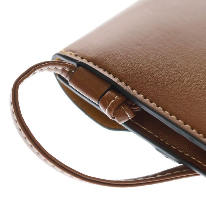 Celine Sunglasses Case Mini Shoulder Bag Brown Leather