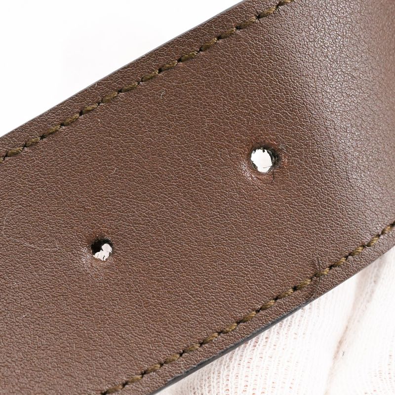 Gucci Belt Bag Ophidia Pouch