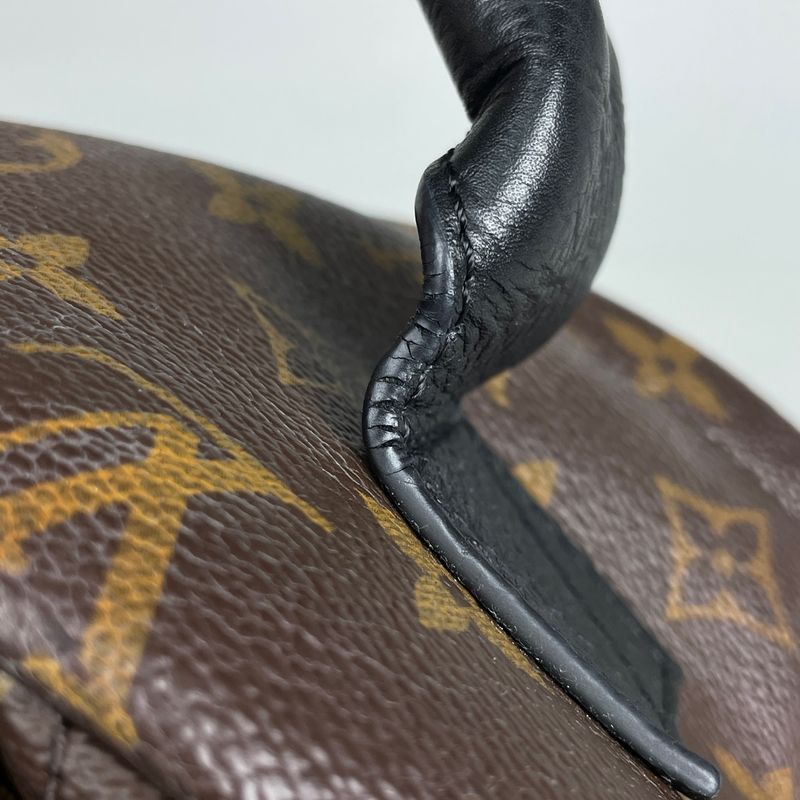 Louis Vuitton Palm Spring Backpack MM Monogram Brown