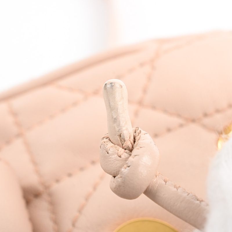 Dior Backpack Caro Nano