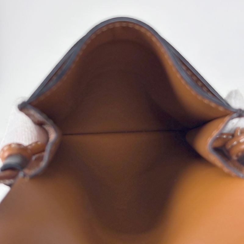 Celine Triomphe Mobile Pouch Shoulder Bag Brown