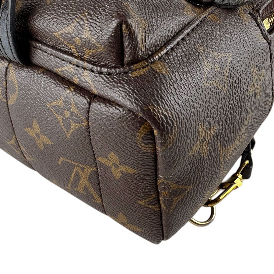 Louis Vuitton Backpack Palm Spring Mini