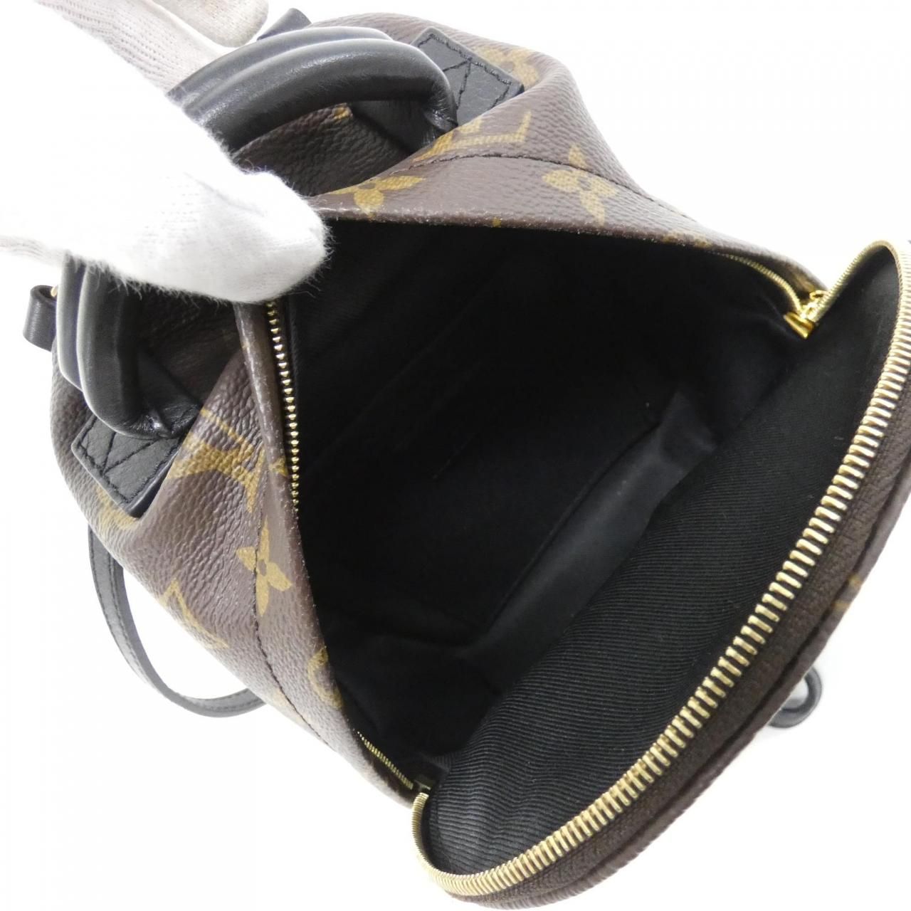 Louis Vuitton Monogram Palm Spring Backpack Mini Sac — view 9