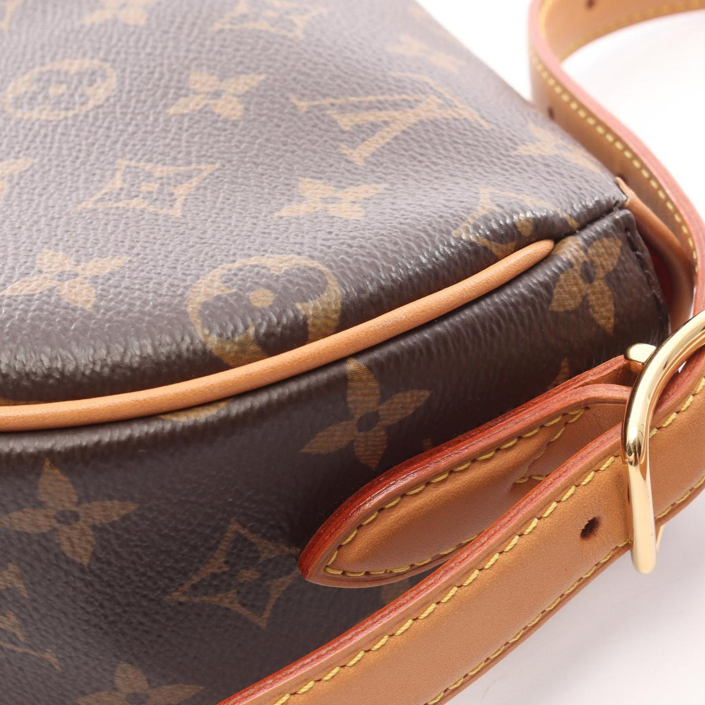 Louis Vuitton Shoulder Bag Tambourine Canvas Leather — view 9