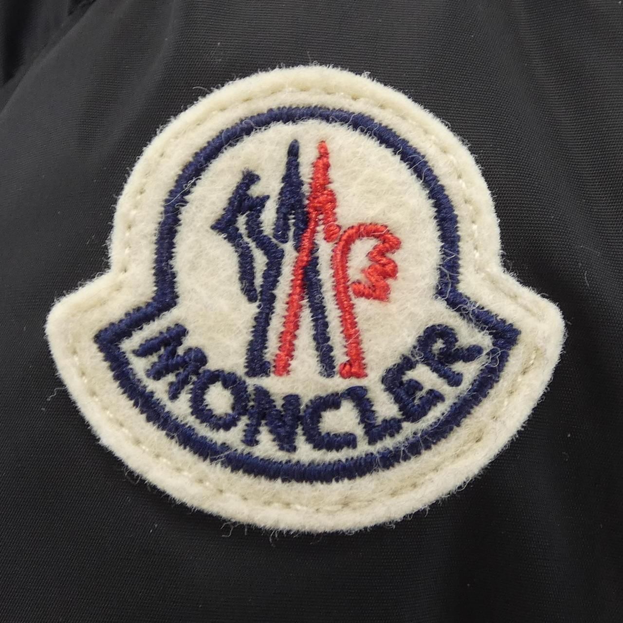 Moncler Avoce Down Jacket — view 8