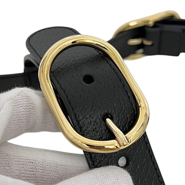 Gucci Pet Harness Black Interlocking Pet Accessory — view 9