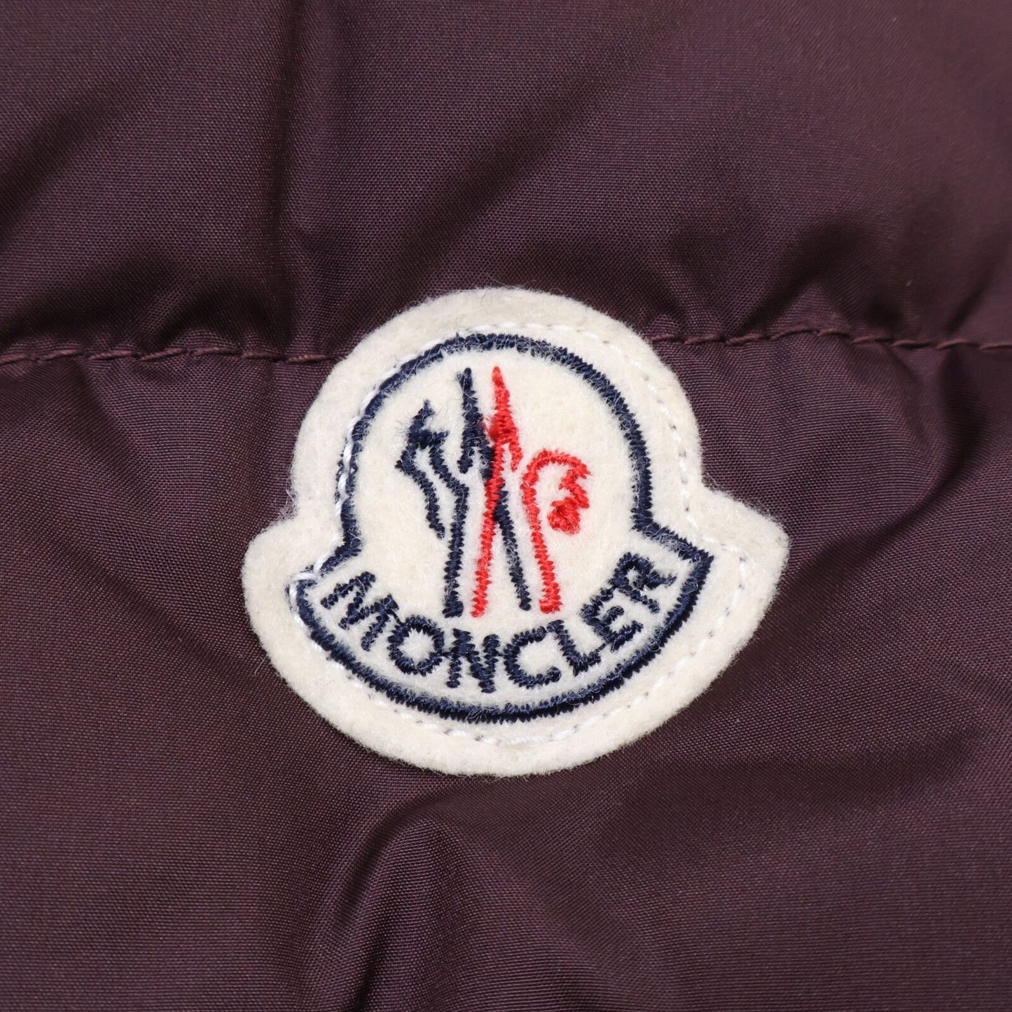 Moncler Cheval Down Jacket — view 8