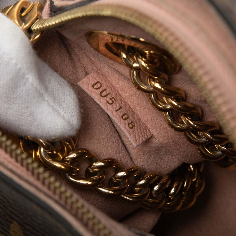 Louis Vuitton Monogram Calf Nne BB Chain Shoulder Bag Brown Rose Poodle Leather — view 6
