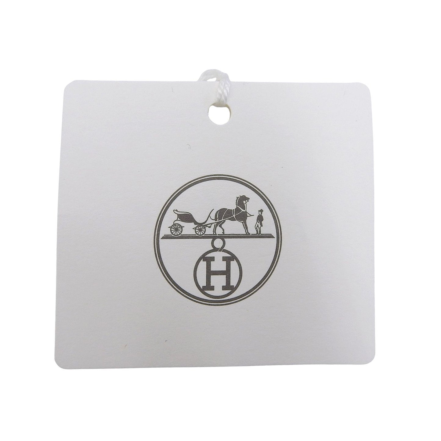 Hermes Chevaux en Symetrie Cotton 100% Leather Fleece Lining Hooded Hoodie Lime — view 8