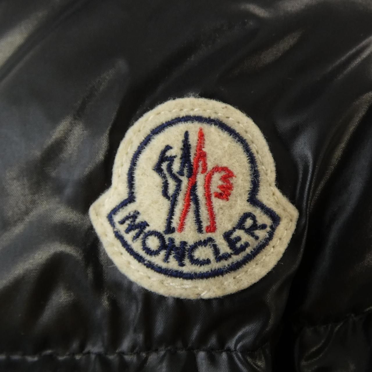 Moncler Daphne Down Jacket — view 8
