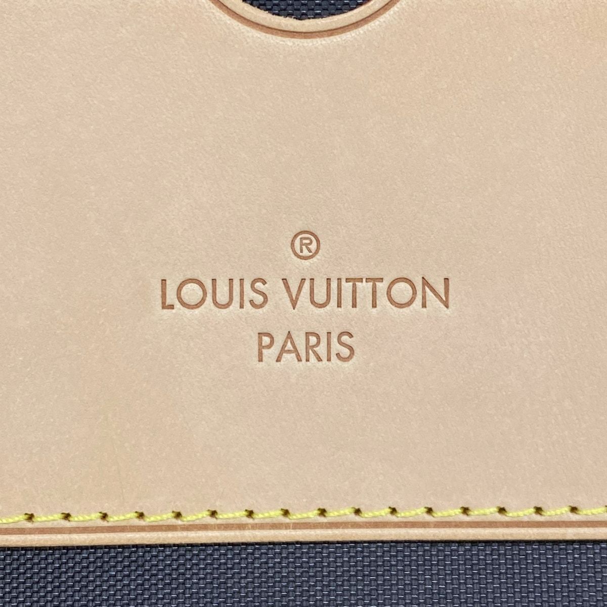 Louis Vuitton Travel Bag Monogram Pegase 55 Initial Paint — view 9