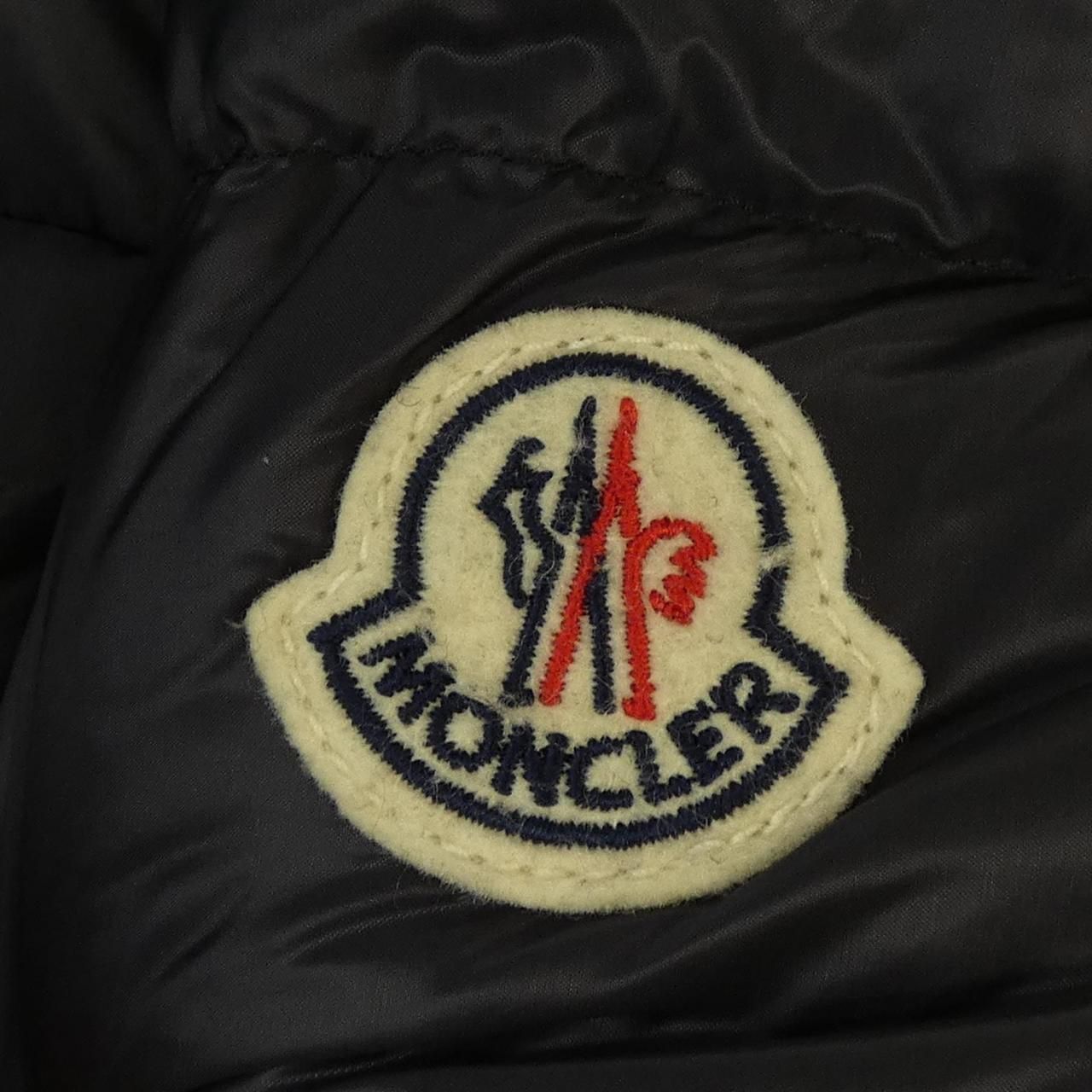Moncler Willm Down Jacket — view 9