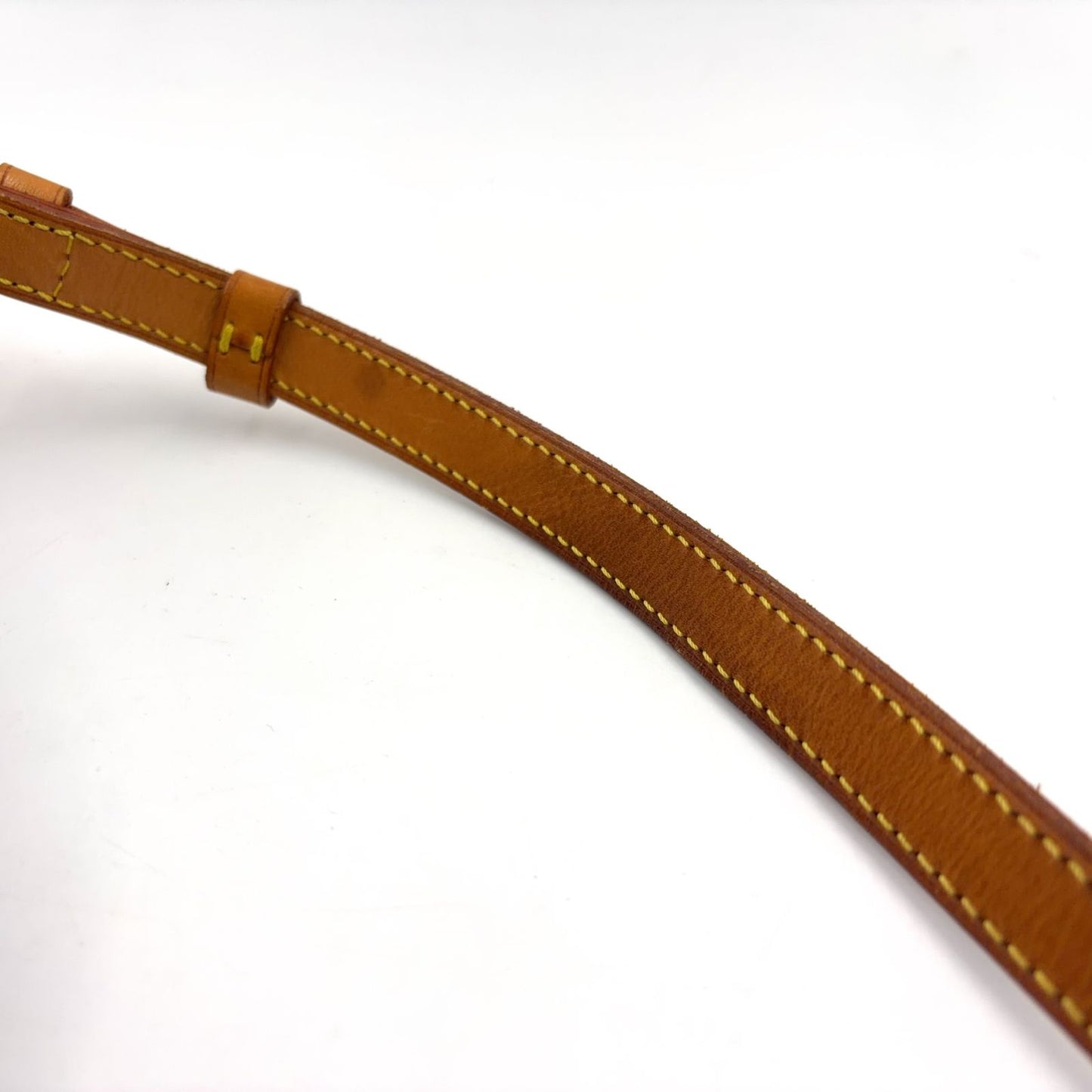 Louis Vuitton Ellipse Sac a Dos Monogram Leather Brown Light Backpack Gold — view 9