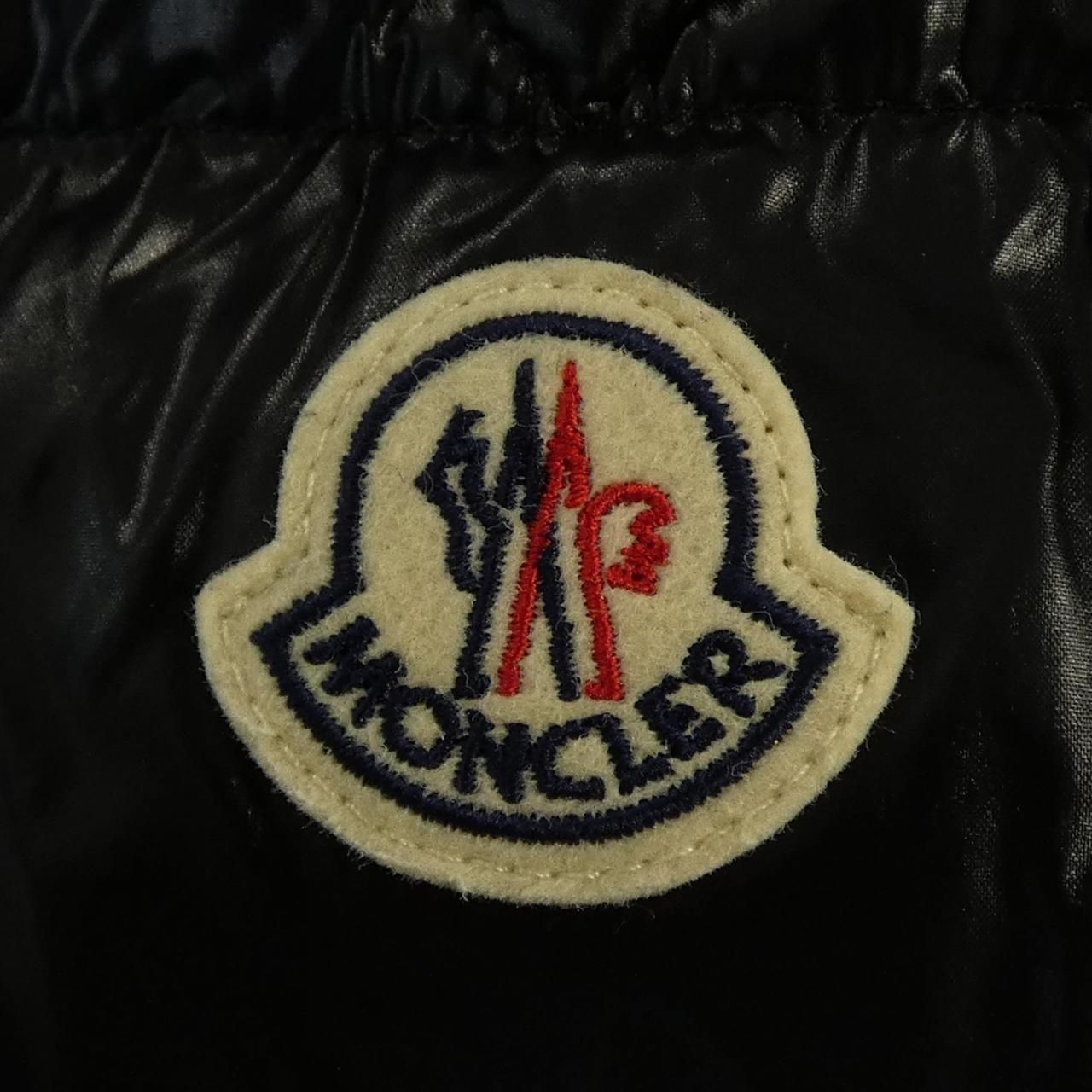 Moncler Parana Down Jacket — view 8