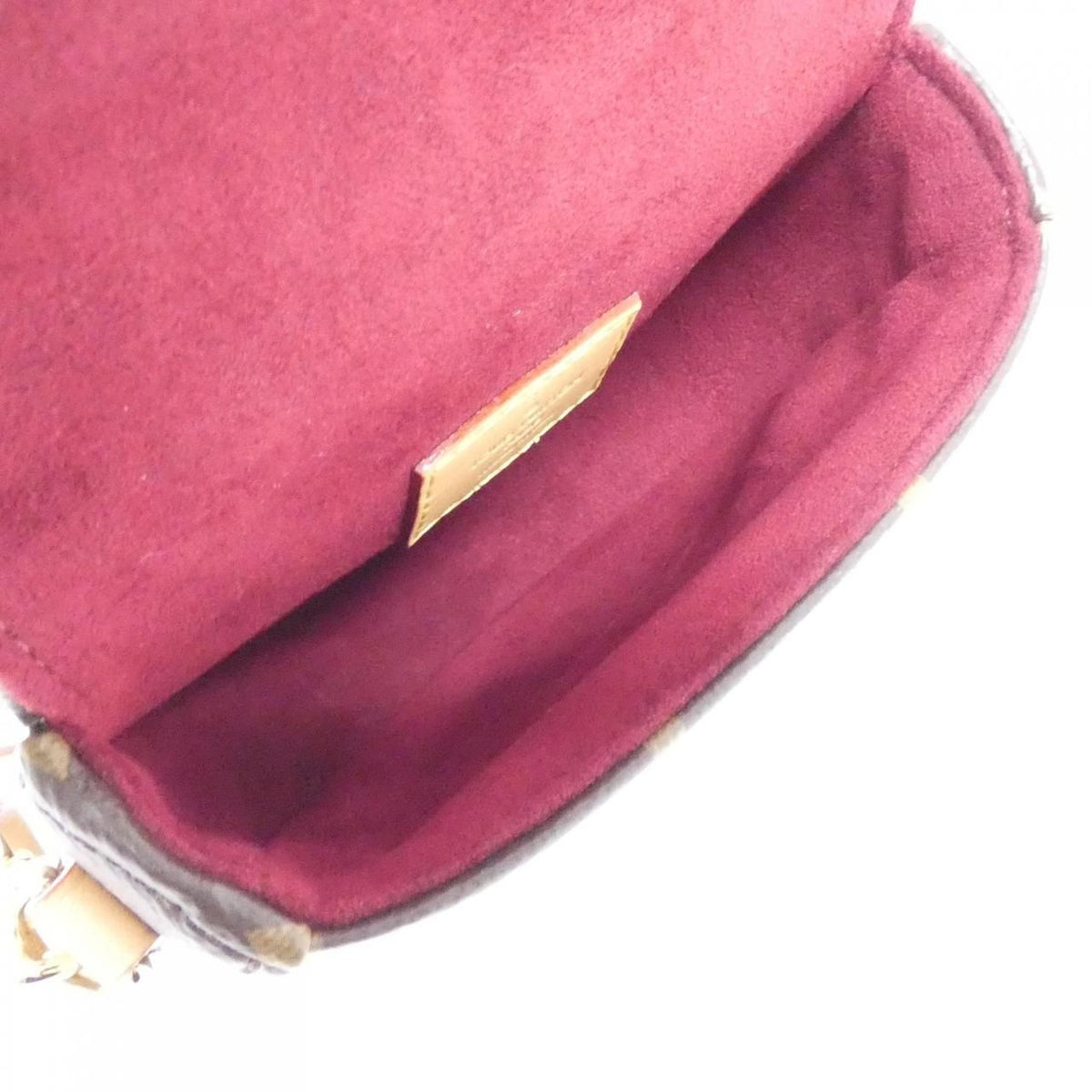 Louis Vuitton Monogram Micro Chien Shoulder Bag — view 6