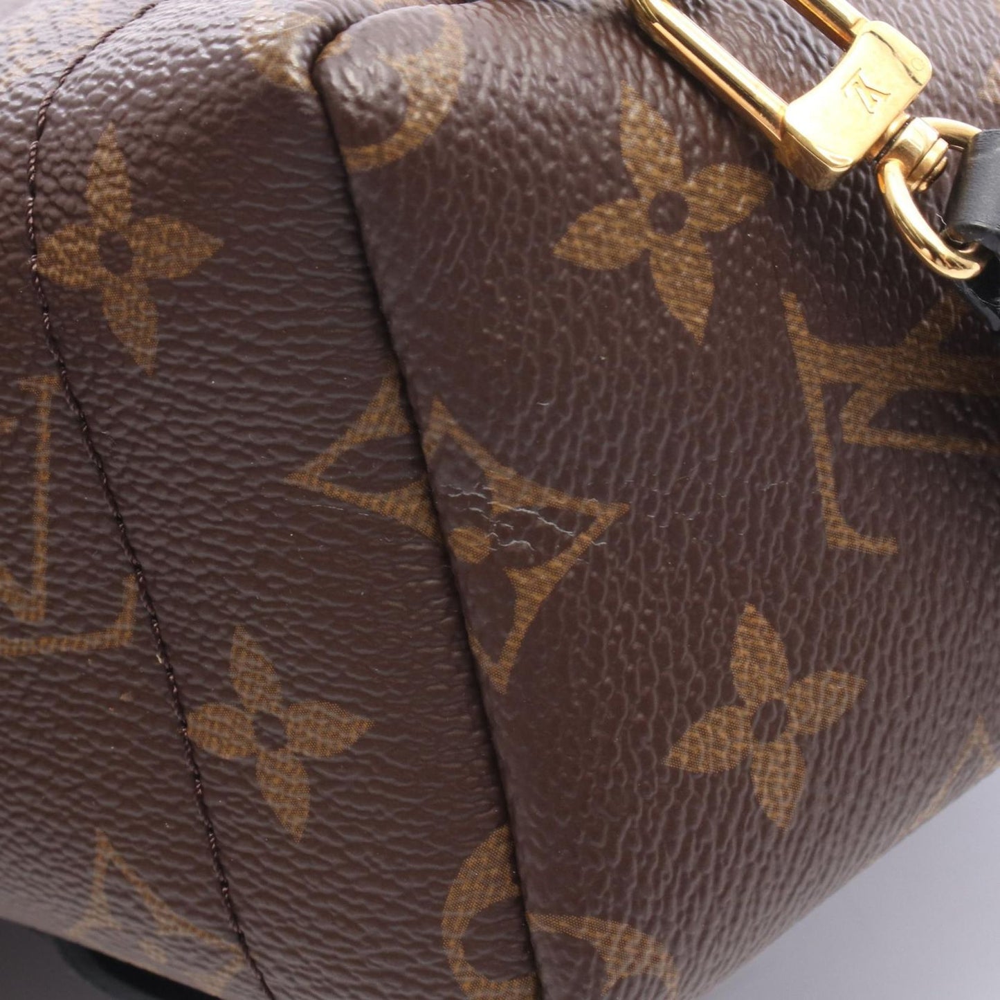 Louis Vuitton Backpack Palm Springs Mini Canvas Leather — view 8