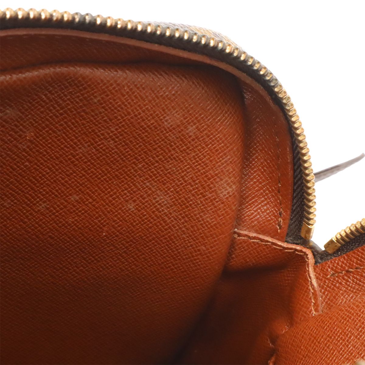 Louis Vuitton Monogram Amazon Shoulder Bag Pochette — view 8