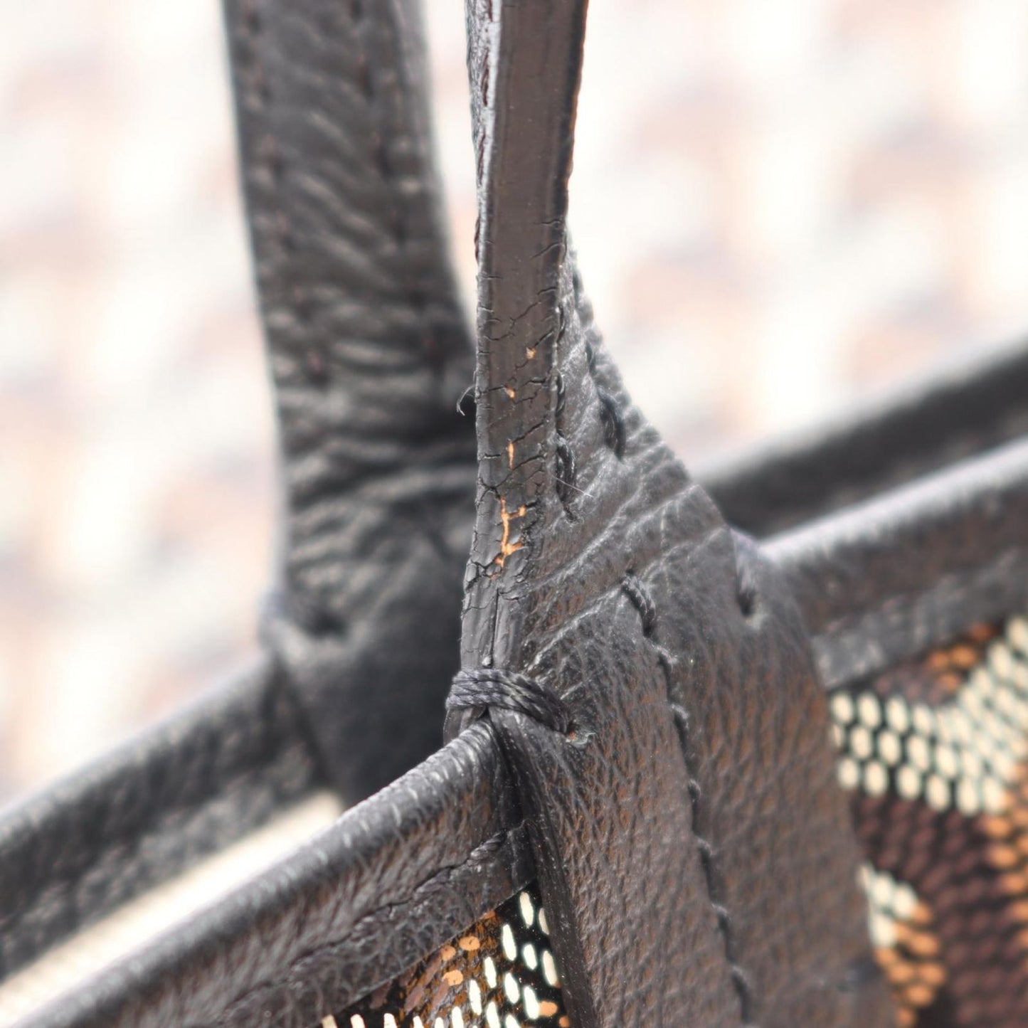 Goyard Tote Bag Saint Louis PM Black Brown White Canvas Leather — view 7