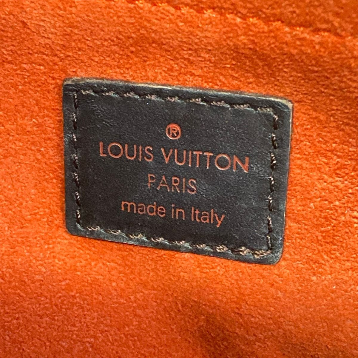 Louis Vuitton Handbag Damier Sauvage Lion Leather — view 8