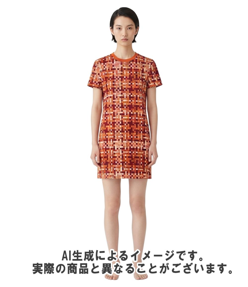 Hermes Short Sleeve Bolduc Check Dress 38 — view 8
